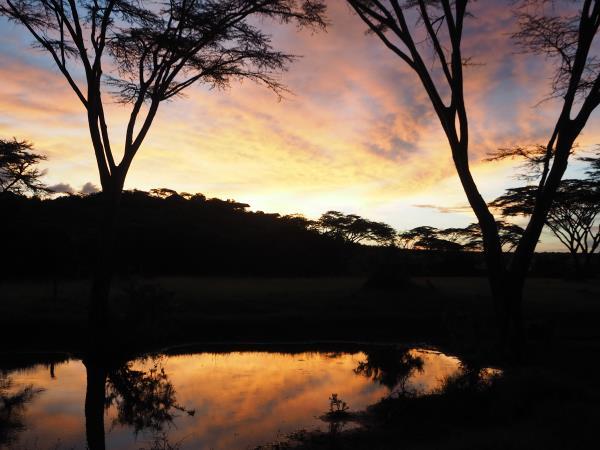 Kenya migration safari holiday
