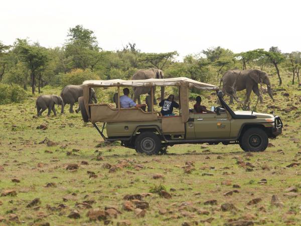 Masai Mara luxury camp holiday, Kenya
