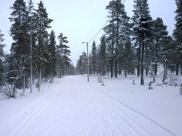 Christmas in Finland, log cabin stay