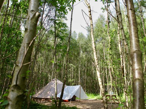 Beech Estate woodland campsite in Sussex
