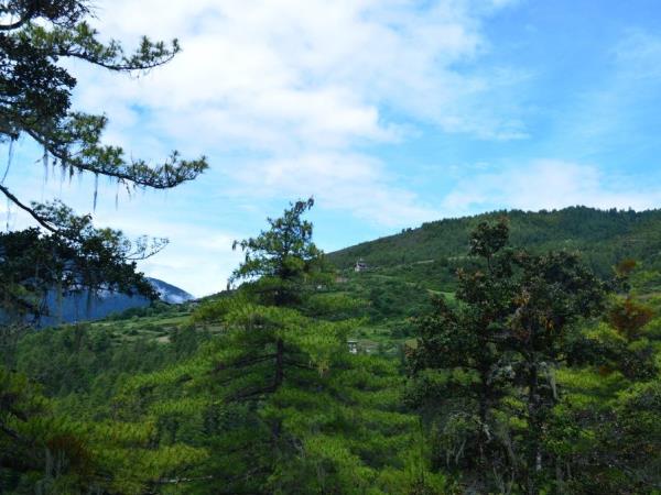 Dagala Thousand Lakes trekking holiday, Bhutan