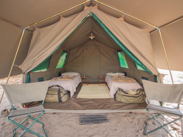Botswana lodge & camping safari