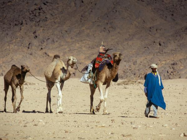 Algeria holiday