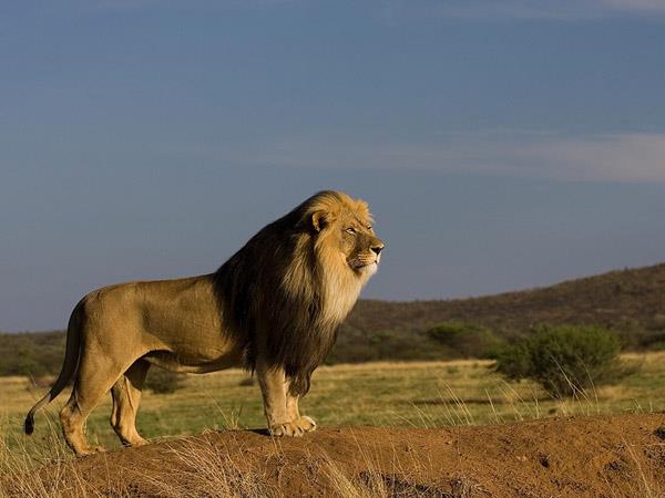 Namibia walking and wildlife holiday