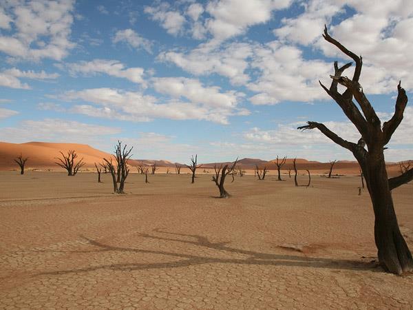 Namibia walking and wildlife holiday