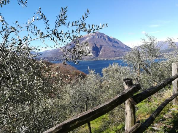 Walking short break in Lake Como, Italy