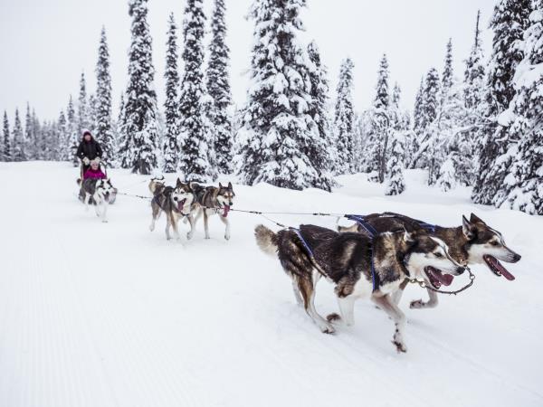 Log Cabin Holiday In Finland With Activities Helping Dreamers Do