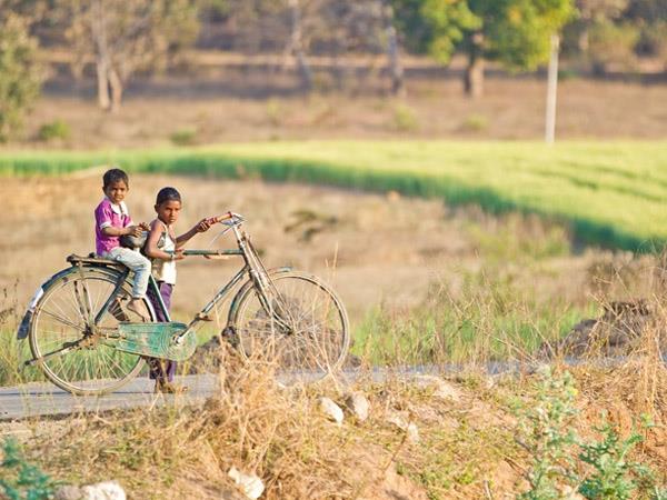 North India wildlife holiday