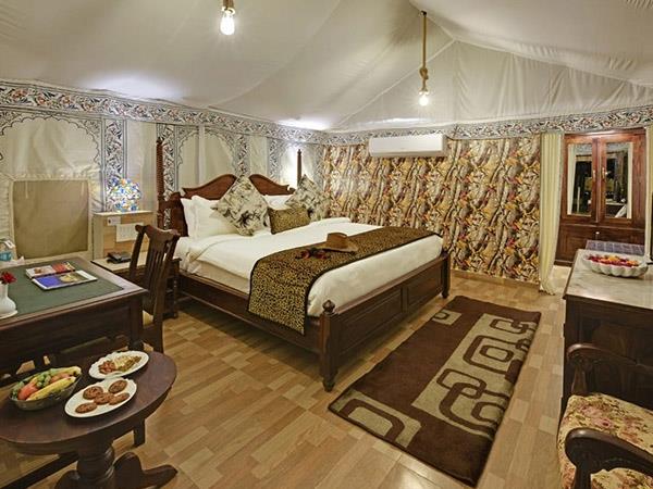 North India wildlife holiday