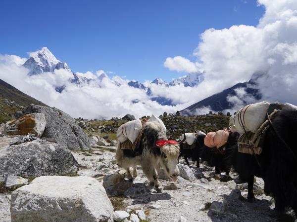 Ama Dablam expedition in Nepal