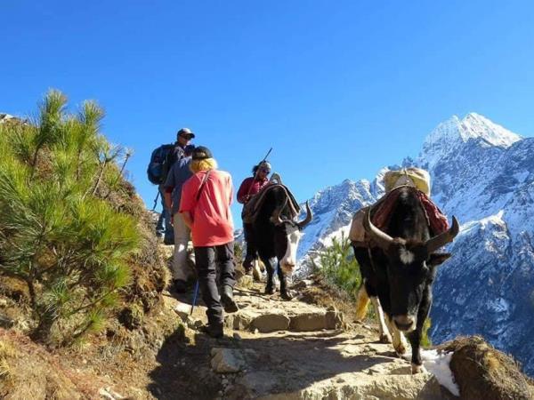 Yoga and trekking holiday in Nepal