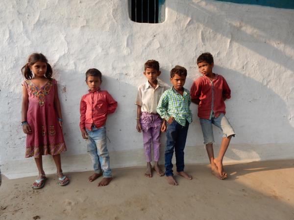 Kanha tiger safari & cycling tour, India