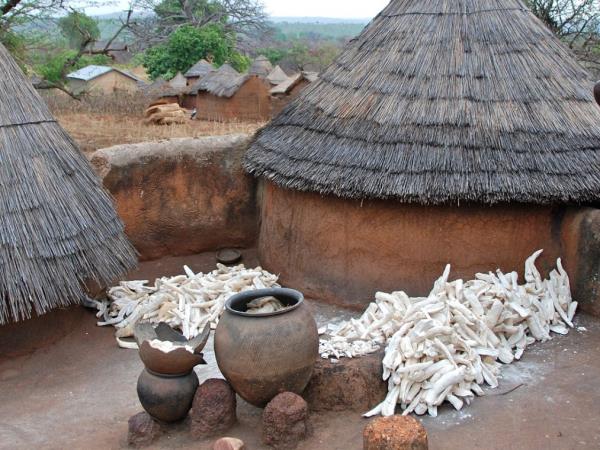 Togo & Benin holiday