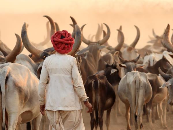 Gujarat holiday and the Rann of Kutch, India