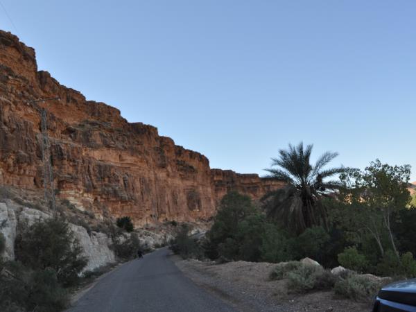 Morocco camel trekking holiday