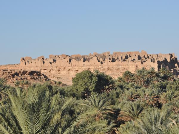 Morocco camel trekking holiday