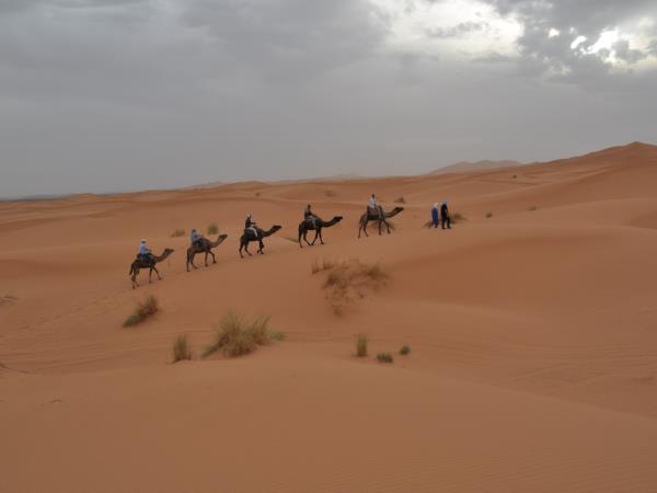 Morocco camel trekking holiday