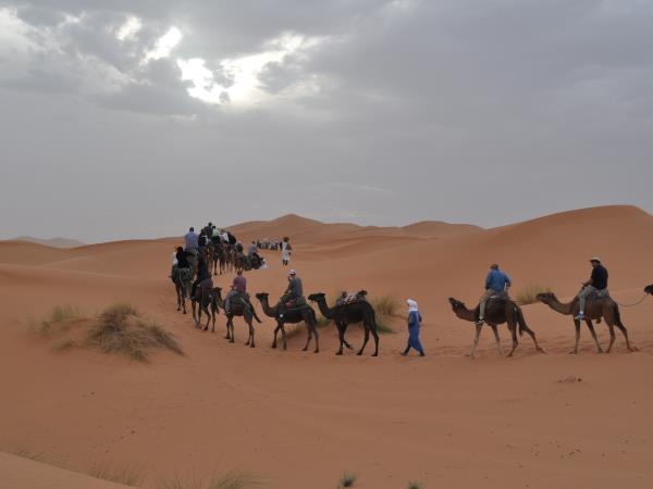 Morocco camel trekking holiday