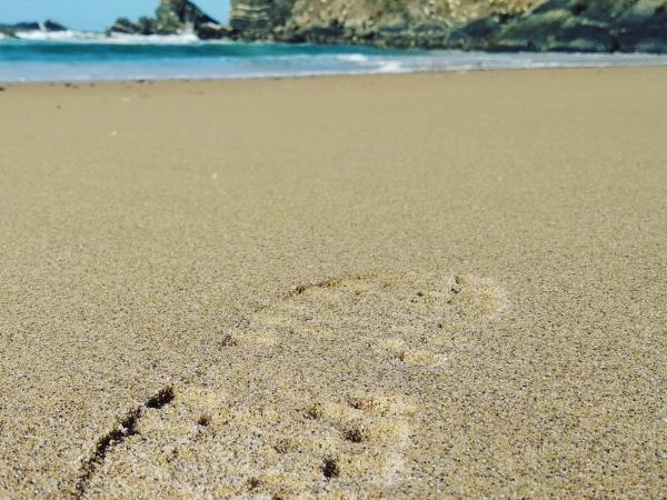 Alentejo self guided walking holiday, Portugal