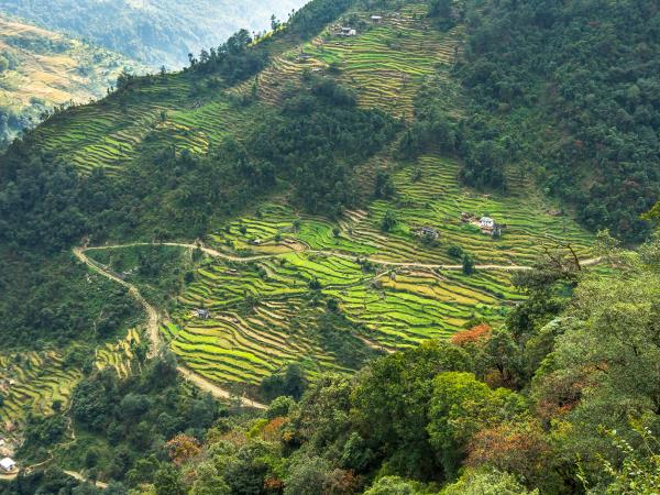 Numbur cheese circuit trek in Nepal