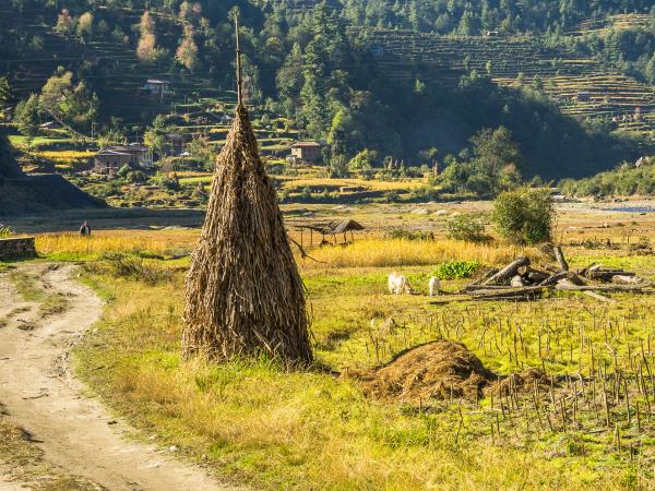 Numbur cheese circuit trek in Nepal