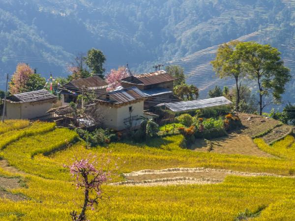 Numbur cheese circuit trek in Nepal
