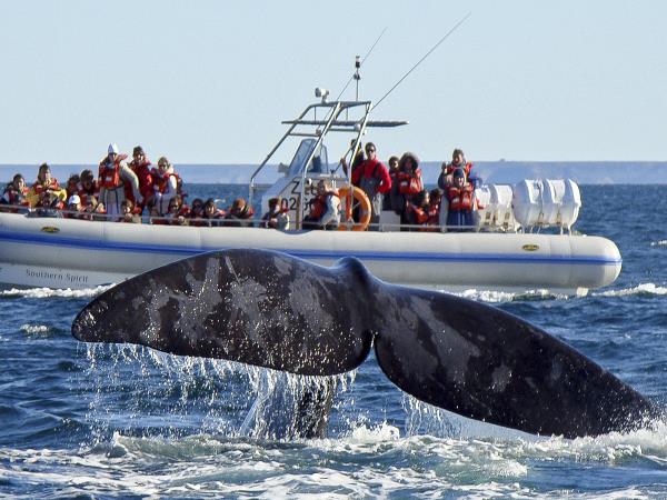 Argentina adventure holiday, tailor made