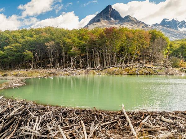 Tailor made holiday in Argentina, best of Argentina