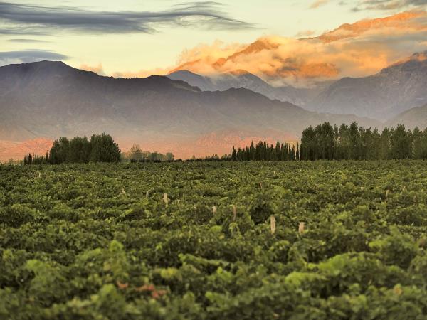 Argentina holiday, cities and national parks