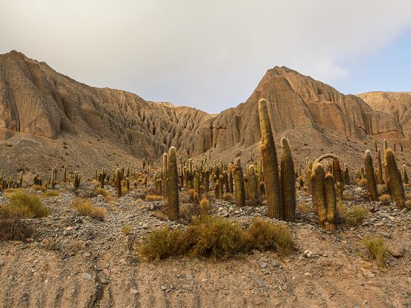 Northern Argentina adventure holiday, tailor made