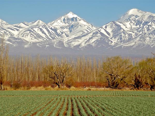 Tailor made holiday to Northern Argentina