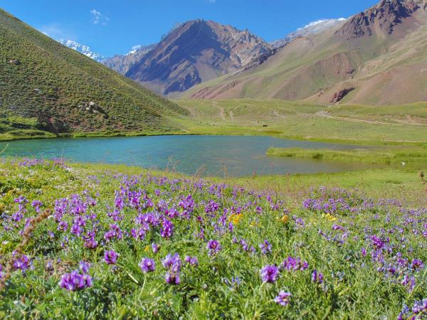 Tailor made holiday to Northern Argentina