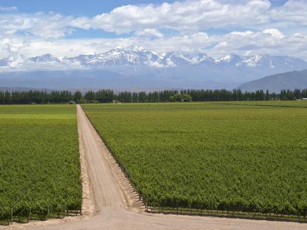 Tailor made holiday to Northern Argentina