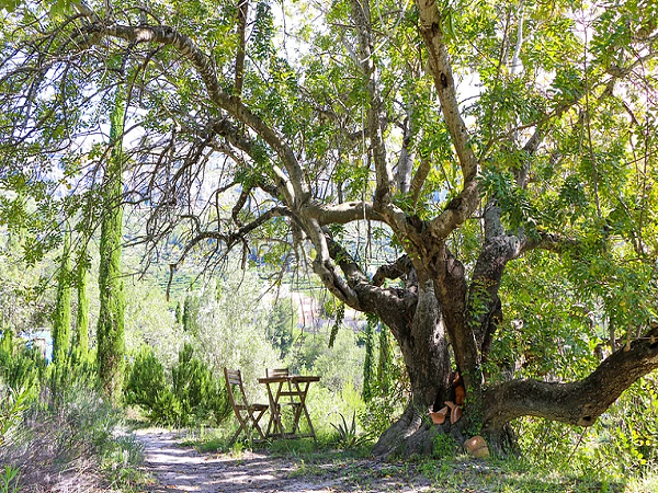 Yoga Retreats in Valencia, Spain
