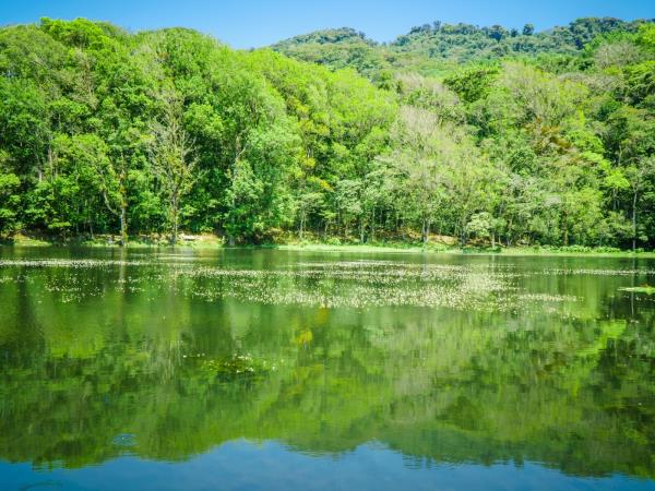 Nicaragua cultural and wildlife tour