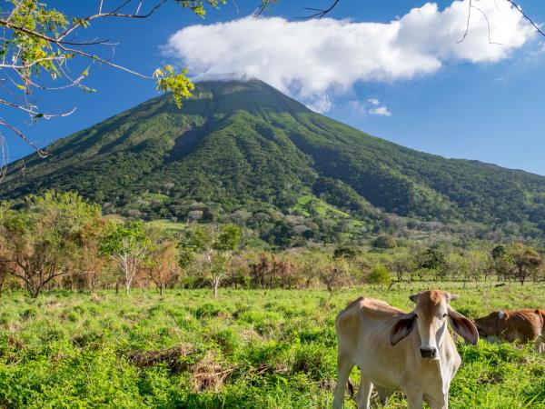 Nicaragua cultural and wildlife tour