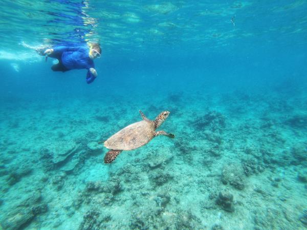 Maldives gulet cruise holiday