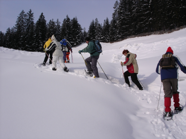 Snowshoeing in the Austrian Alps holiday
