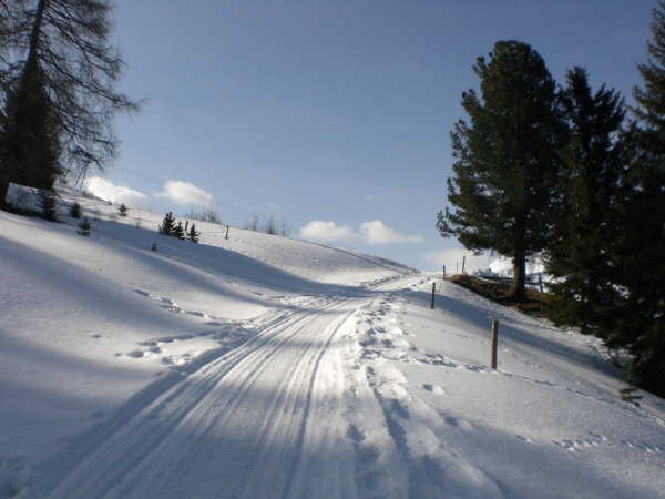Snowshoeing in the Austrian Alps holiday