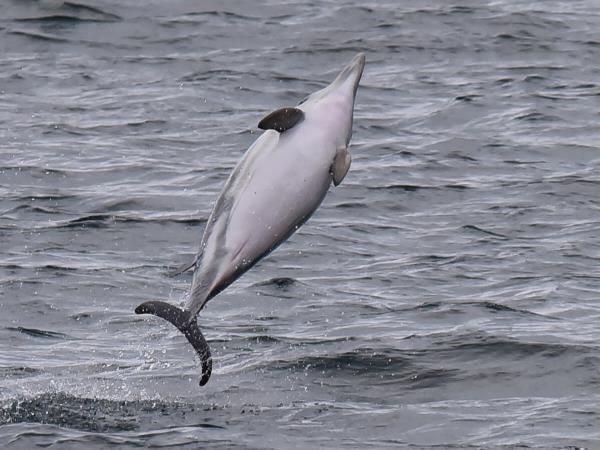 Photography cruise in Scotland