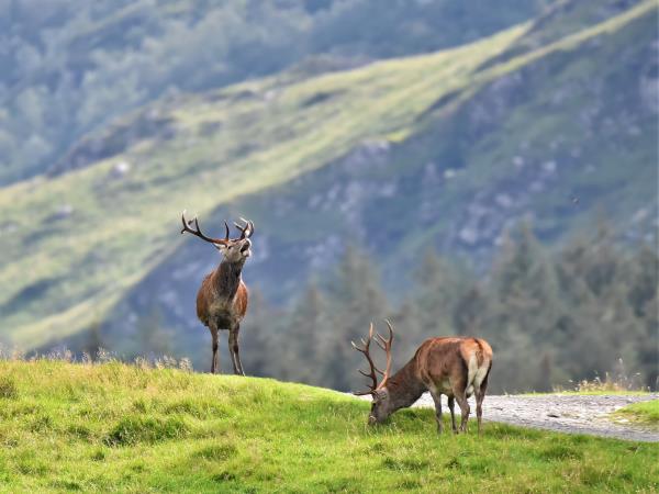 Photography cruise in Scotland