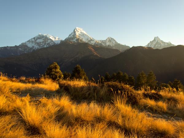Annapurna with Poon Hill trek in Nepal