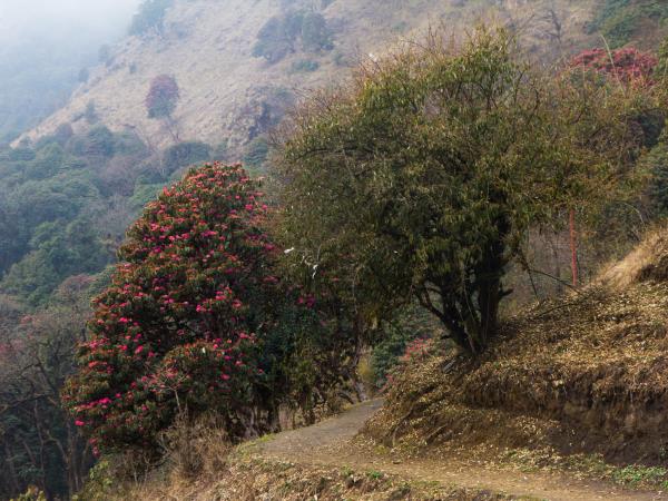 Mustang trekking holiday in Nepal