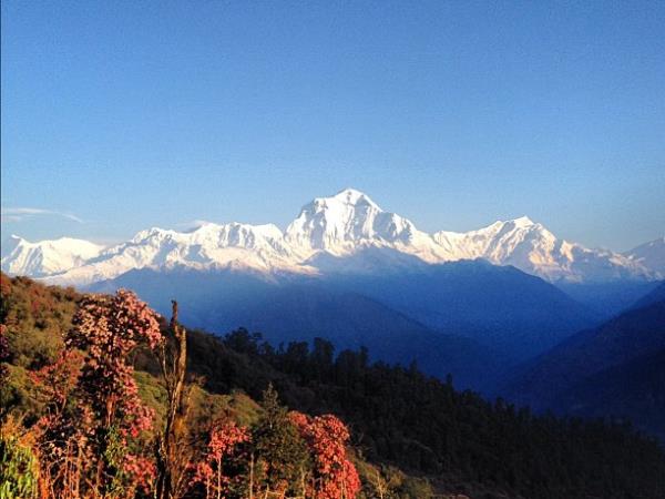 Poon Hill trek in Nepal