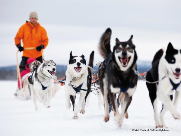 Finland husky safari holiday