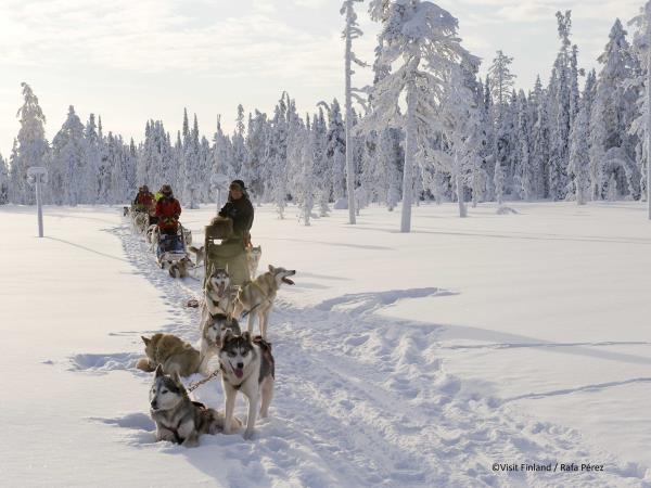 Finland husky safari holiday