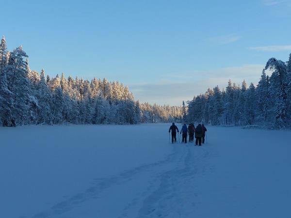 Finland husky safari holiday