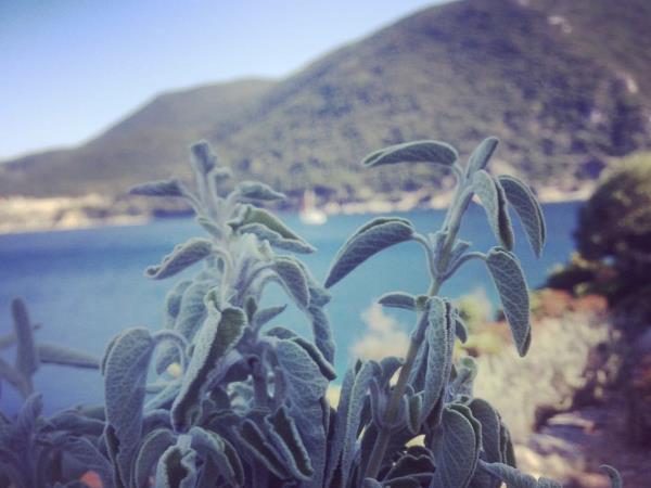 Gastronomy and sailing holiday in Greece