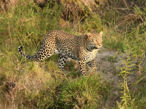 Northern Tanzania private safari holiday