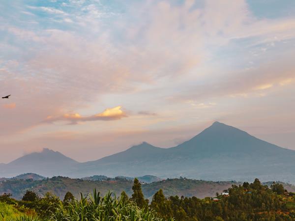 4 day gorilla safari in Rwanda